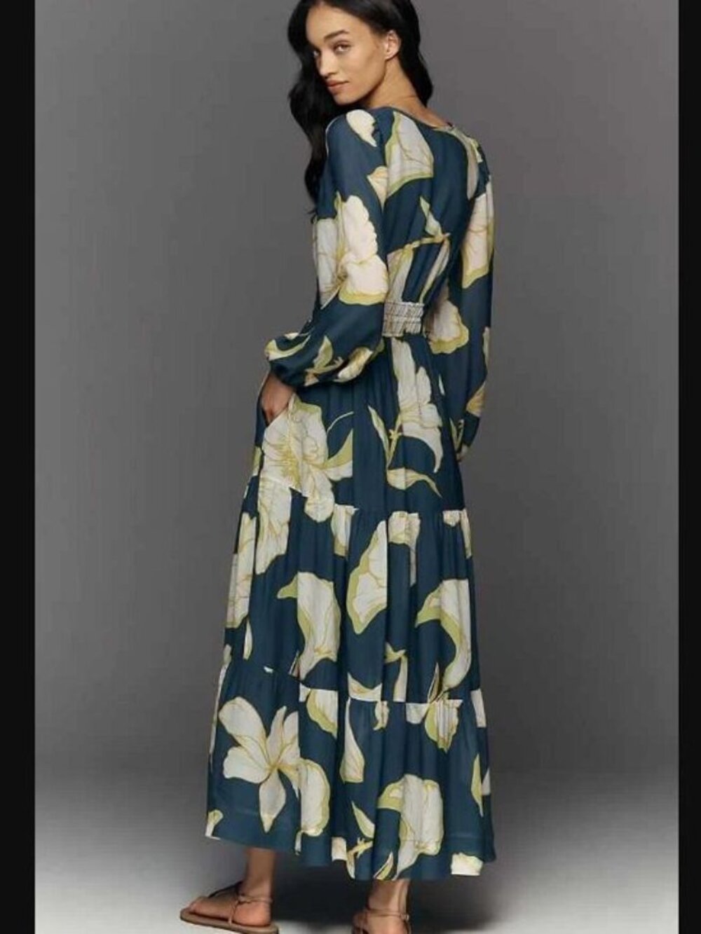 New XL Anthropologie Somerset maxi dress: long-sleeve chiffon edition - Picture 2 of 12